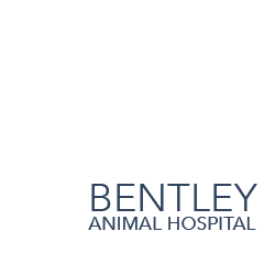 Bentley Animal Hospital